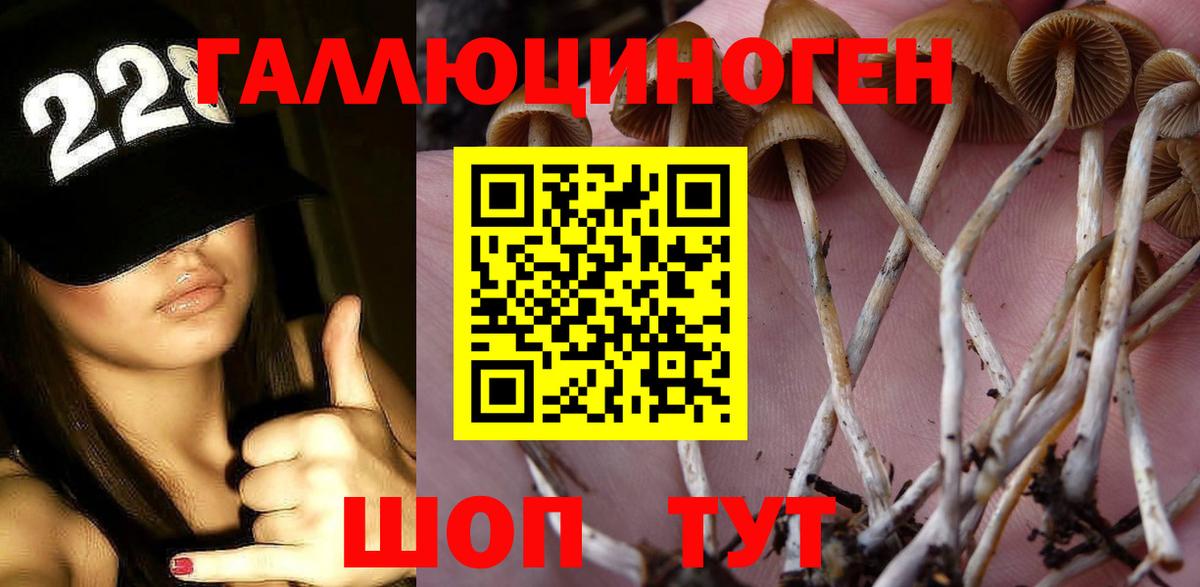где купить наркотик  Вход с VPN  Ялуторовск  Псилоцибиновые грибы мухоморы 